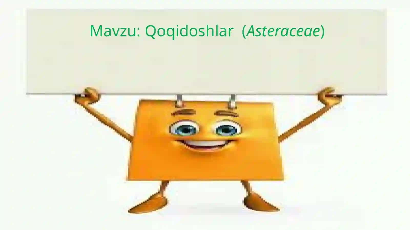 Qoqidoshlar(Asteraceae) 2