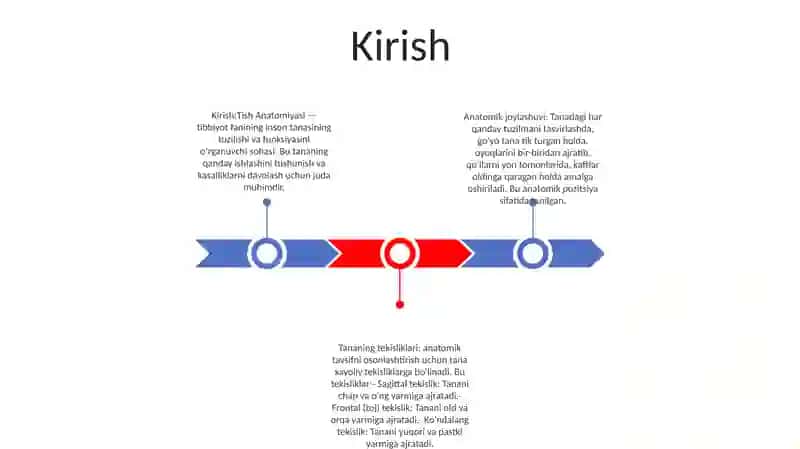 Tish Anatomiyasi 2