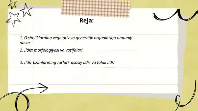 O'simliklarning vegetativ va generativ organlari 2