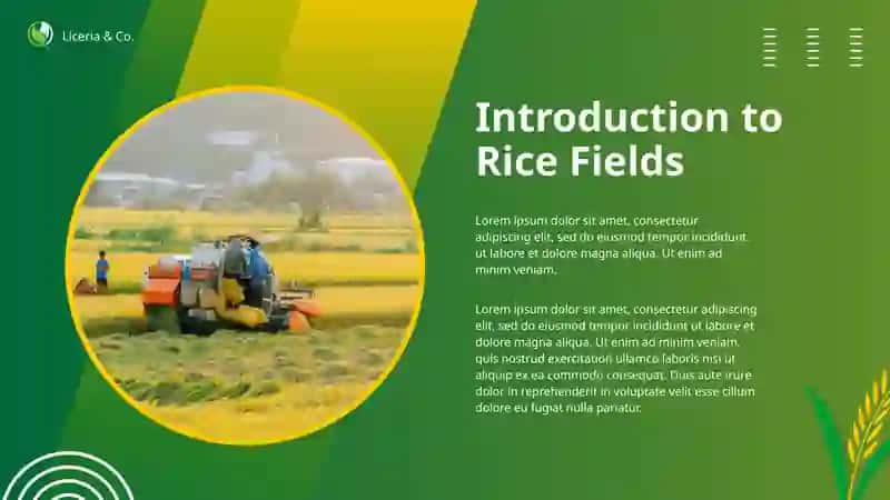 Introduction to Rice Fields 2