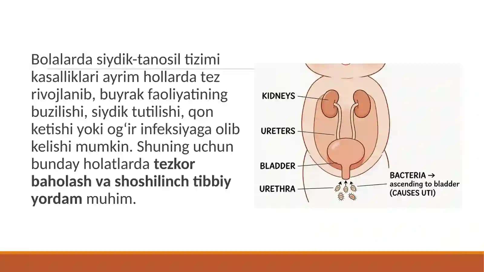 SIYDIK- TANOZIL TIZIMI KASALLIKLARIDA SHOSHILINCH YORDAM 2
