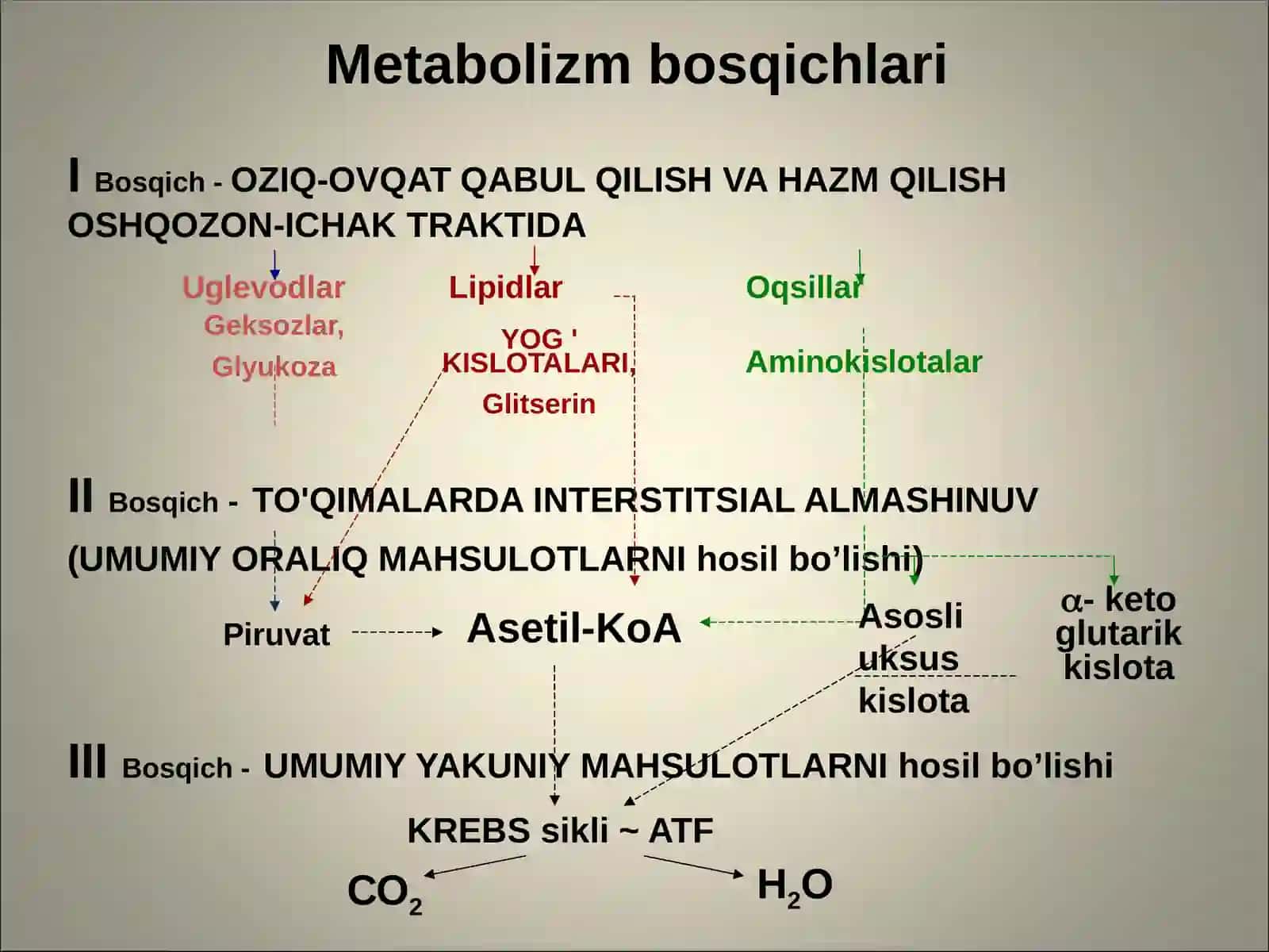 Metabolizmpatofiziologiyasi:energiyavaoqsilalmashinuviningbuzilishi 2