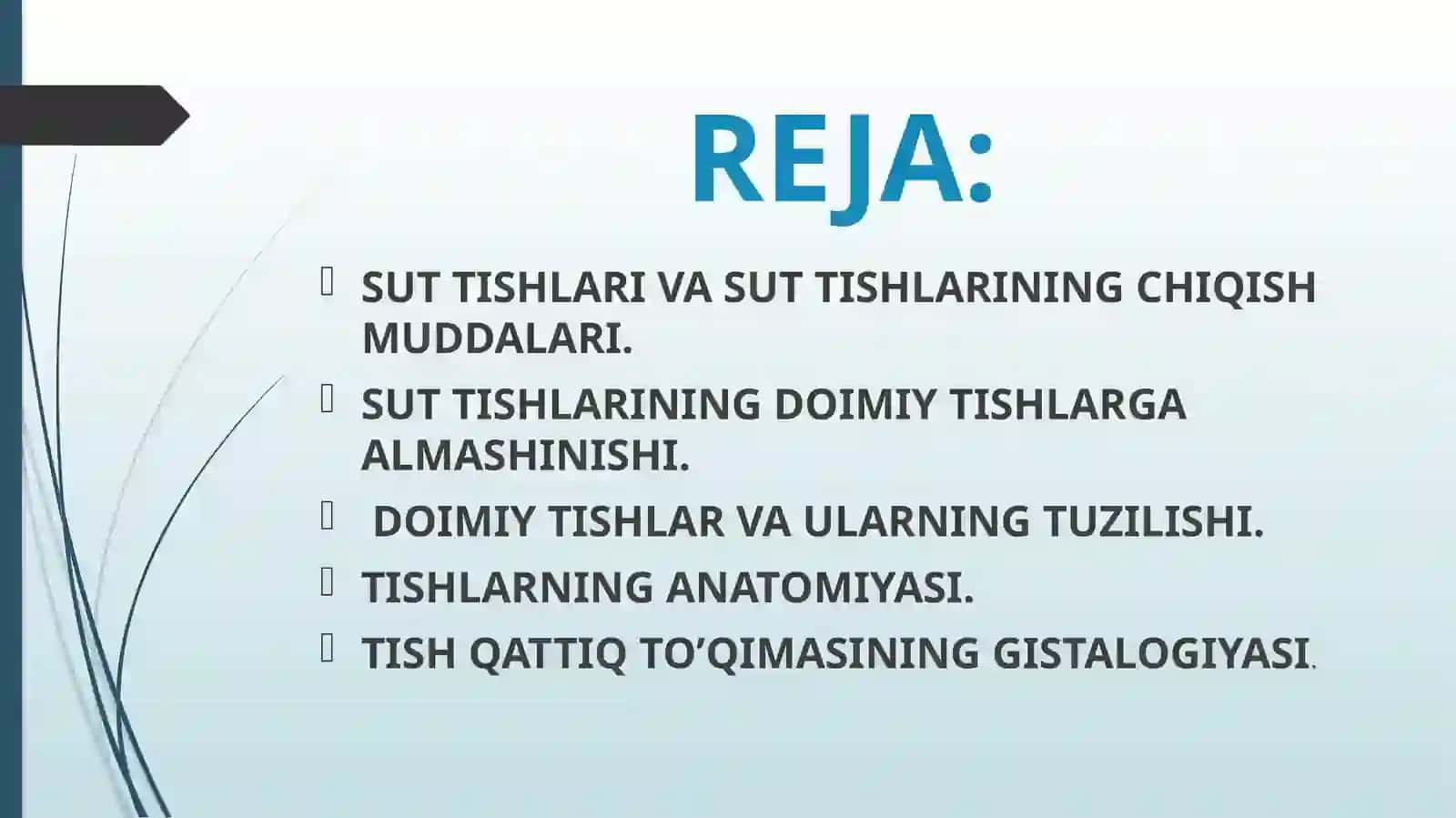 TISHTO’QIMALARINING ANATOMIK VA GISTALOGIK TUZILISHI 2