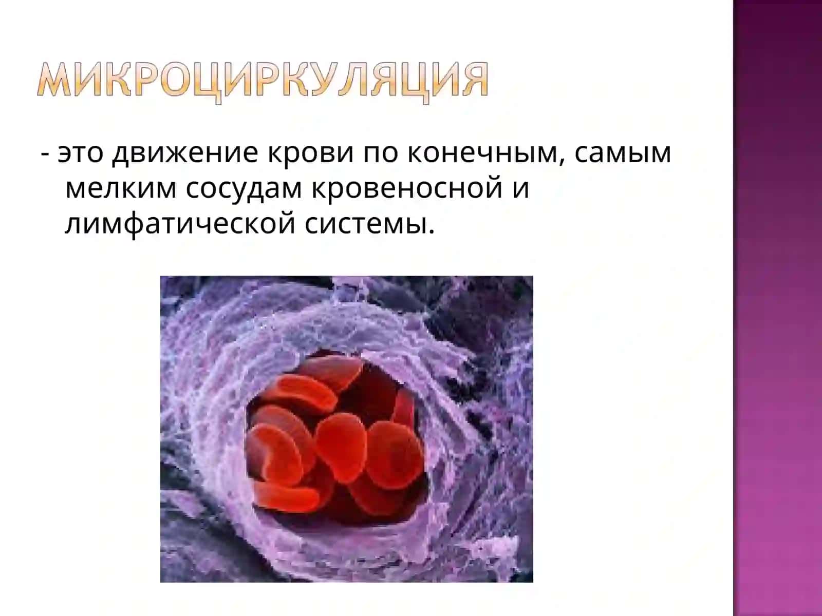 Кровенаполнения процесслари 2