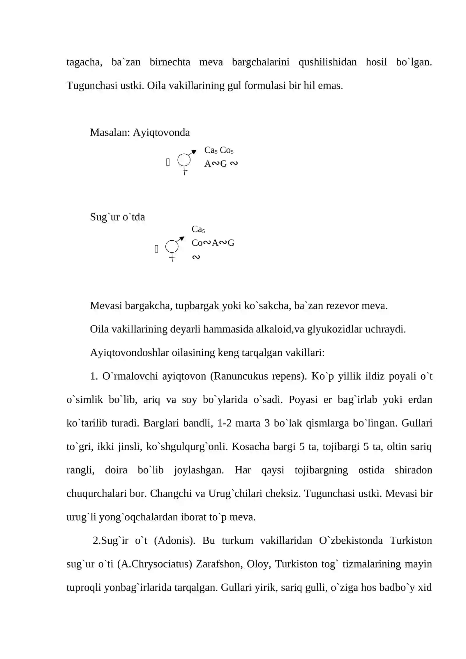 Ayiqtovonkabilar sinfchasi – Ranunculidae 2