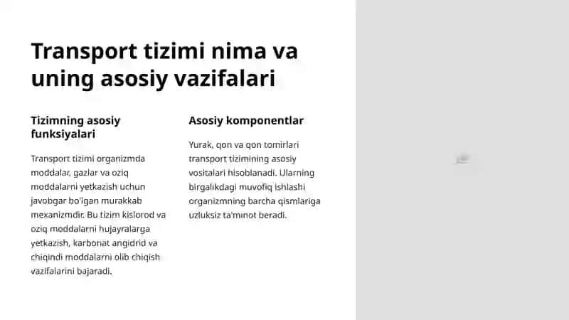 Transport funksiyasining anatomiyasi 2