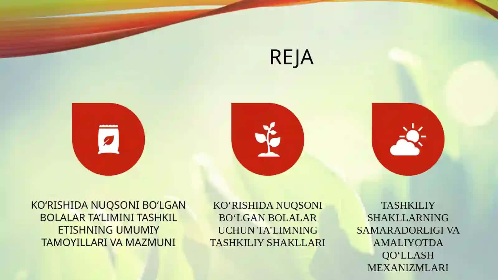 Ko'rishida nuqsoni bo'lgan bolalar ta’limining tashkiliy shakllari 2