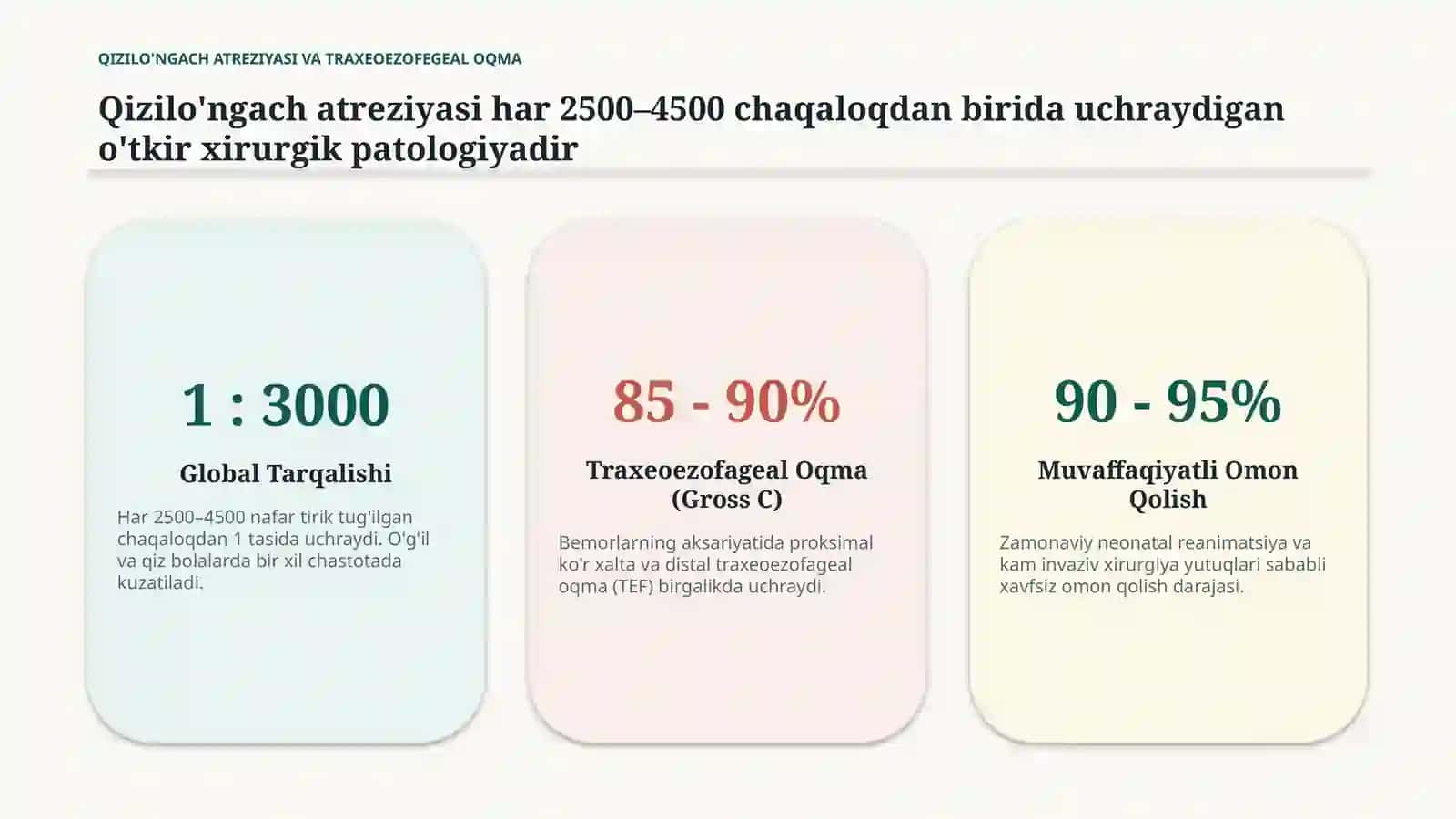 QIZILO'NGACH ATREZIYASI 2