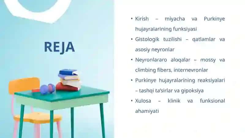 Miyachada neyronlararo aloqalar. Miyacha Purkinye hujayralarining tashqi ta'sirlarga va gipoksiyaga 2