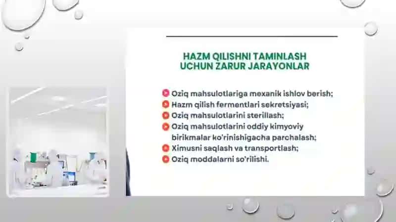 Hazm qilish tizimi patofizologiyasi 2