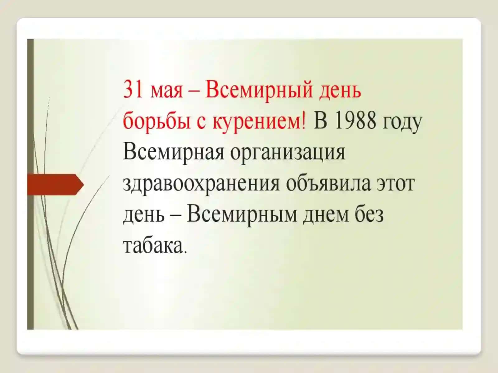 Kashandalikdan voz kechish va sog'lom turmush (1-variant) 2
