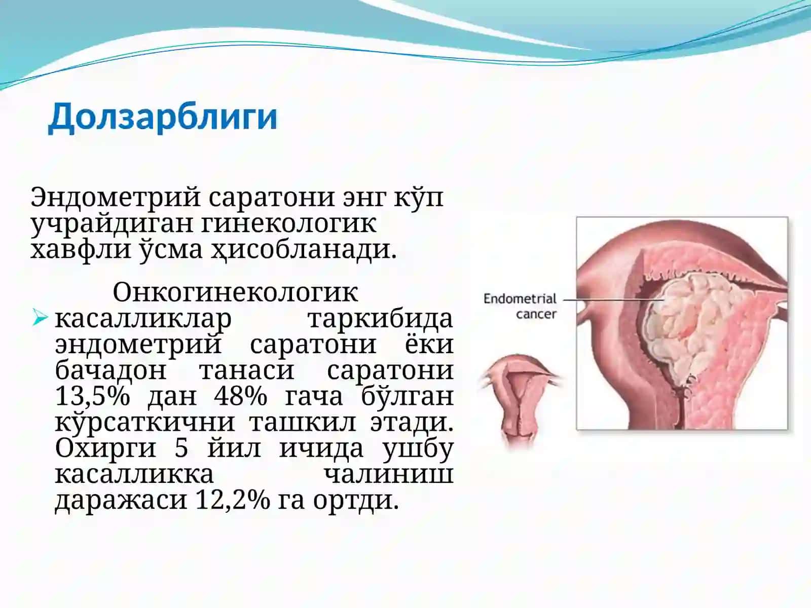 Бачадонтана 2