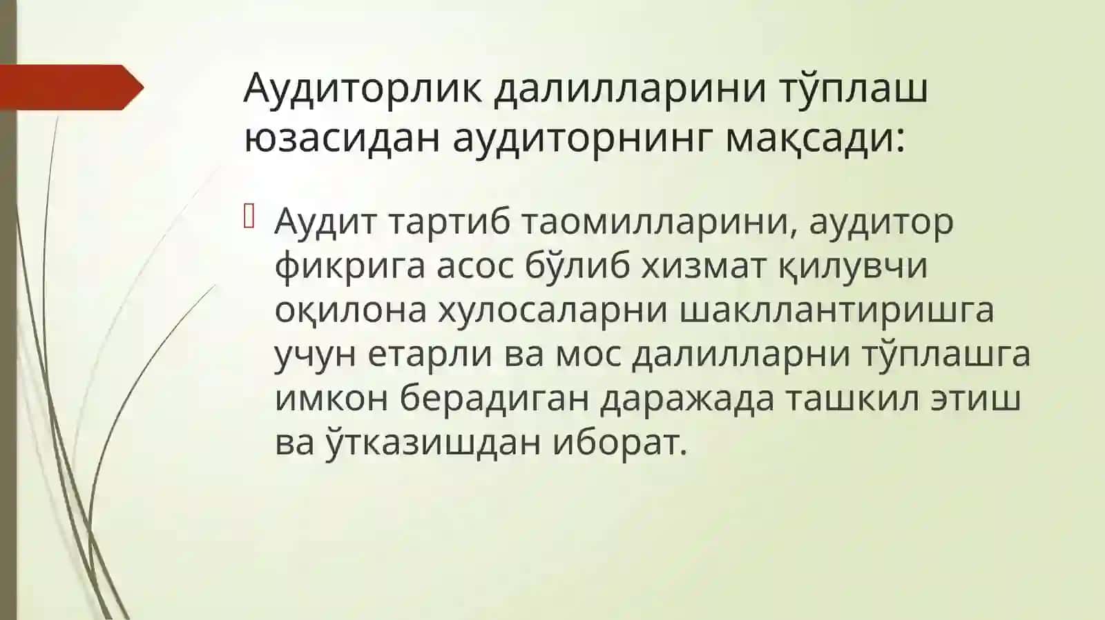 Аудиторликдалиллари 2