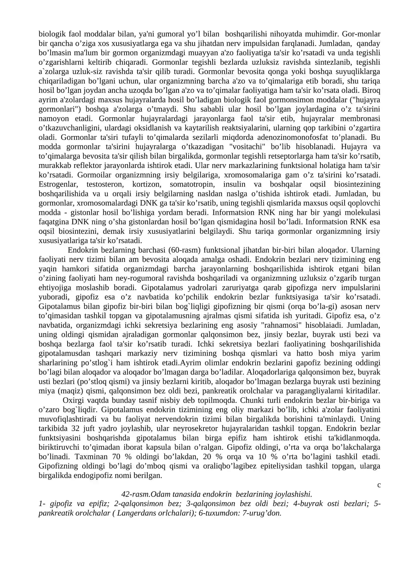 Endokrin tizim 2
