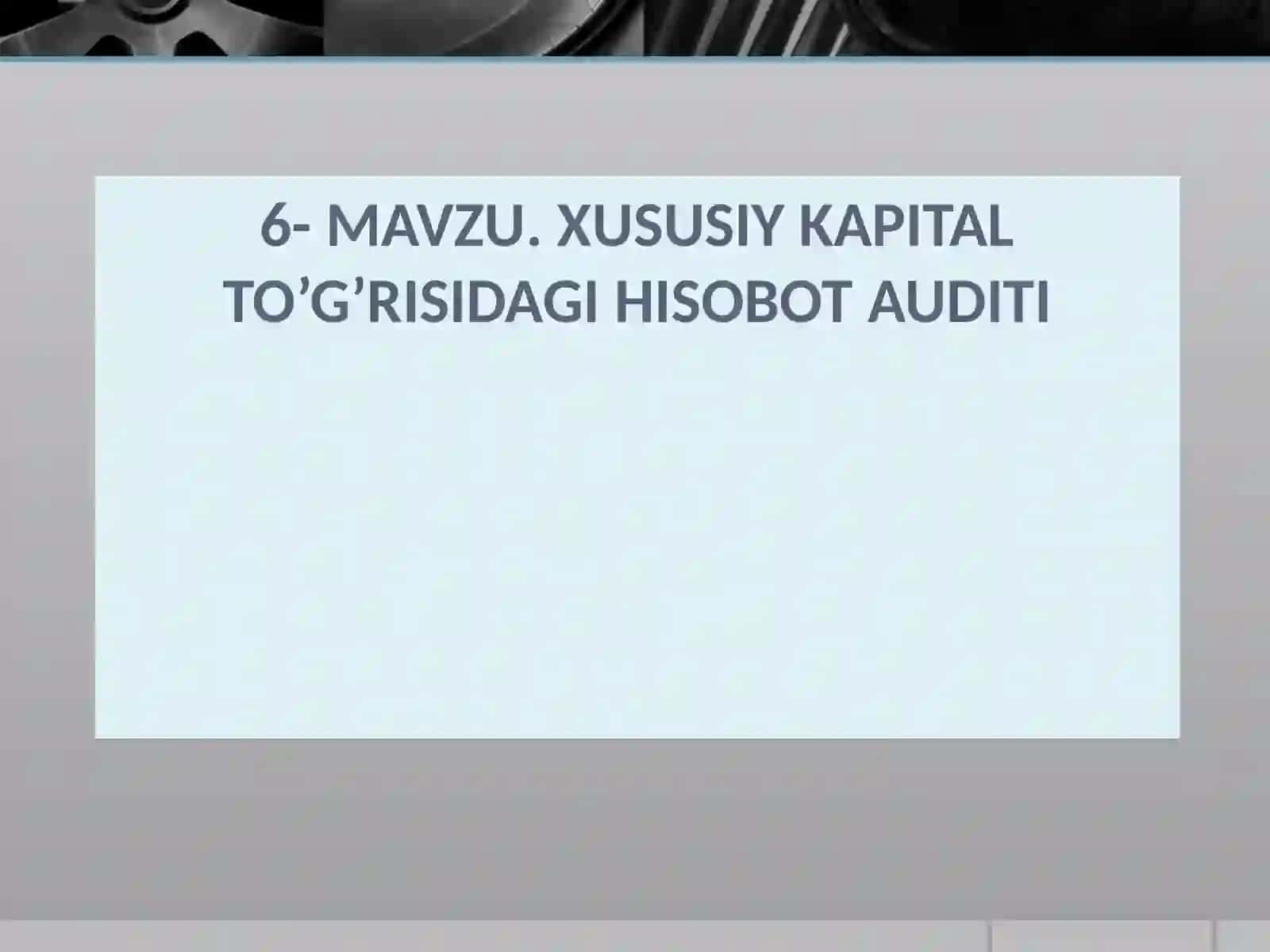 Xususiy Kapital To'g'risidagi Hisobot Audit 2