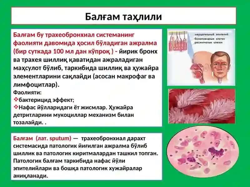 Балғам таҳлили 2