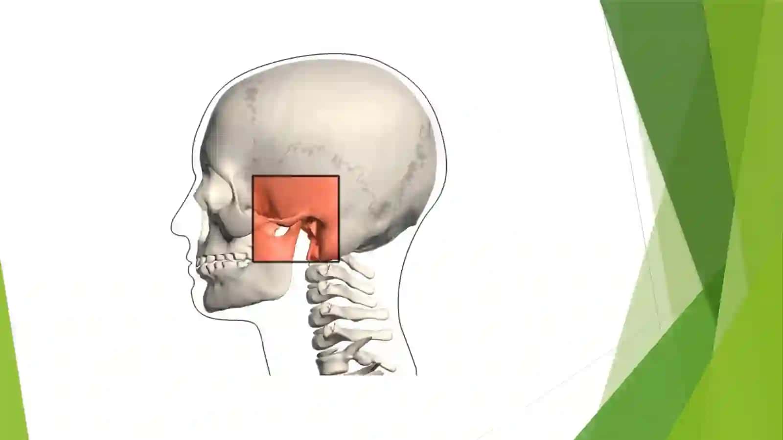 Radiologik Diagnostika Aparatlari. Panoramik Rentgen (OPG) 2