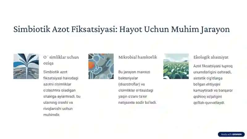 Azotni Oʻzlashtiruvchi Simbiotik Biotizimlar Evolyutsiyasi va Genetik Asoslari 2