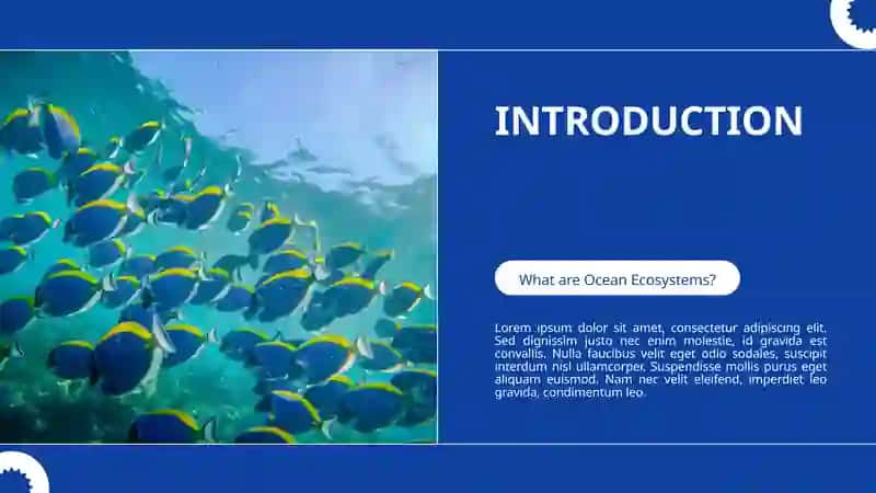 Coral Reefs 2