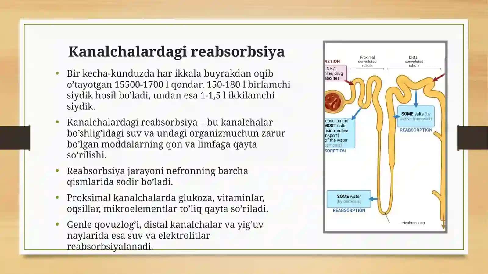 Reabsorbsiya jarayoni 2