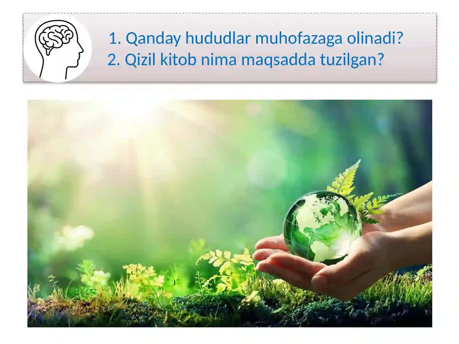 Vatanimizning muhofaza etiladigamtabiiy obyektlari 2
