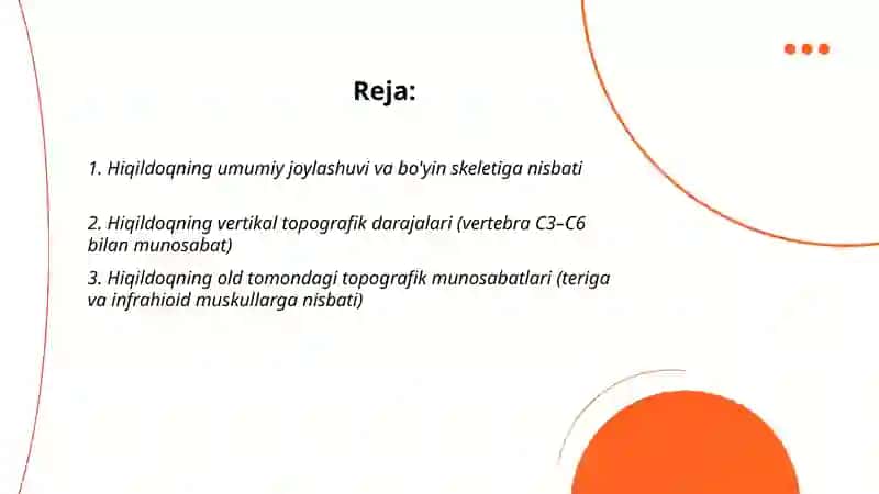 Hiqildoq: Joylashuvi, topografiyasi va qon tomirlari 2