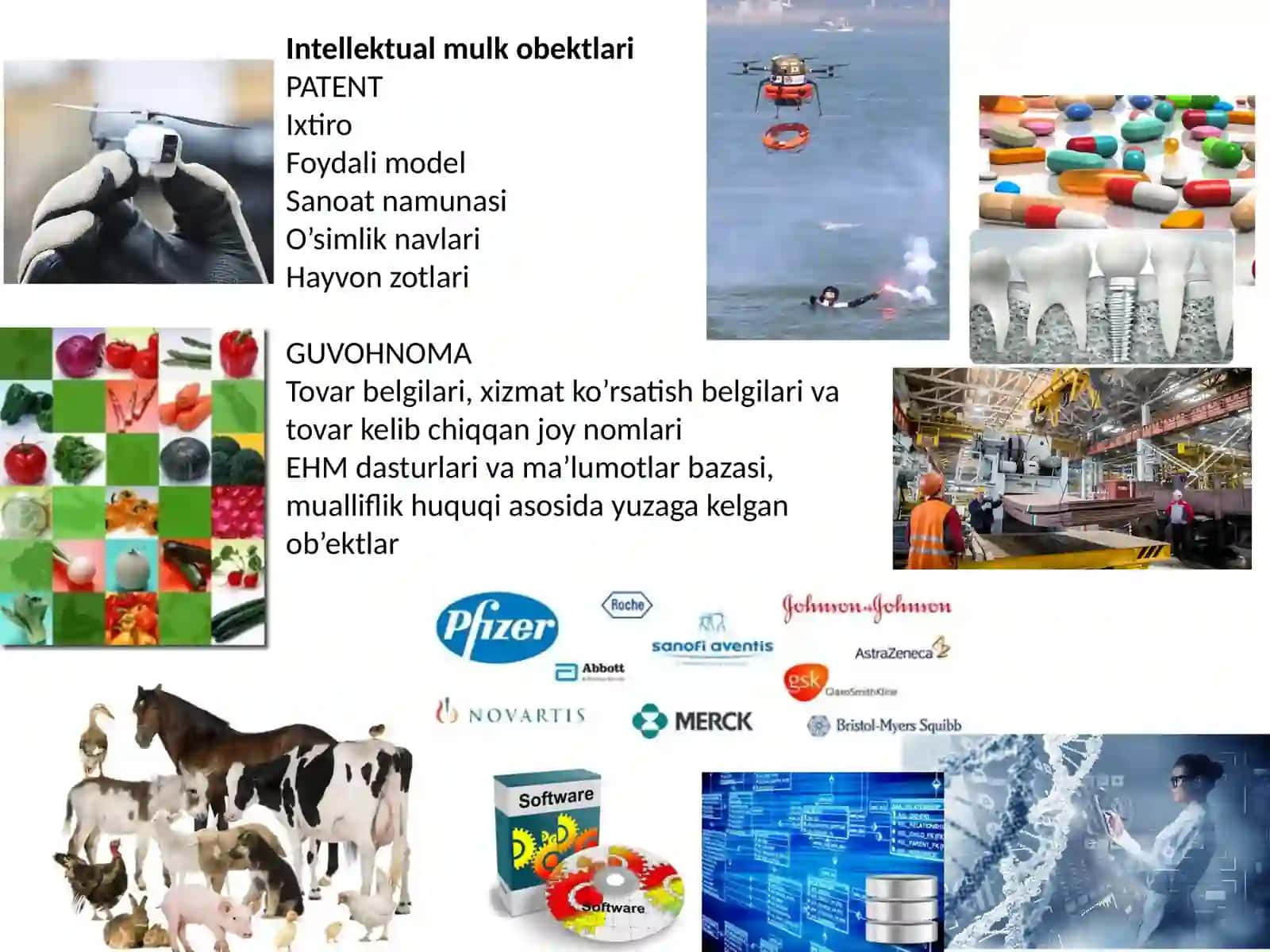Intellektual mulk obʼyektlarini muhofaza qilish innovatsiyon iqtisodiyotning asosida 2