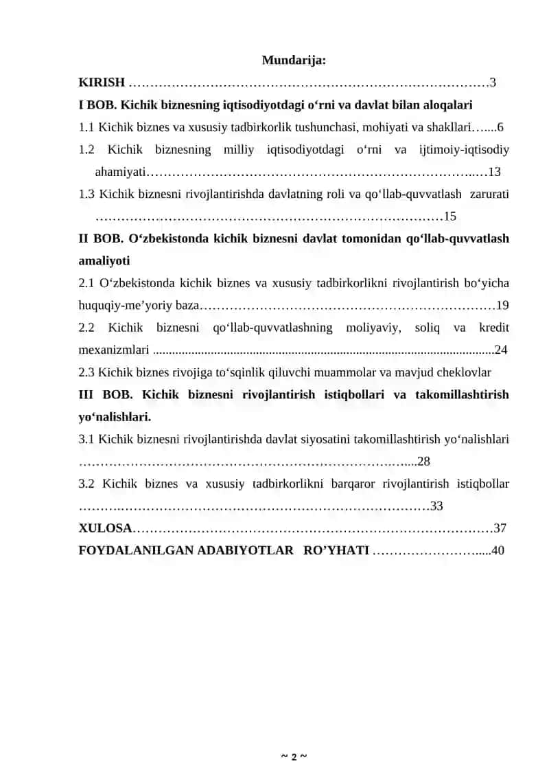 Kichik biznes va xususiy tadbirkorlikning rivojlanishini davlat tomonidan qo'llab-quvvatlash siyosatining yo'nalishlari 2