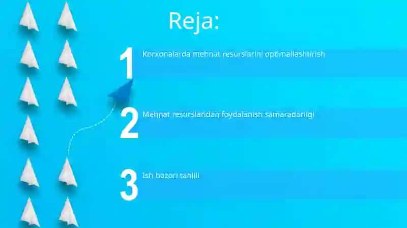 Mehnat bozori va korxonalarda mehnat resuslaridan foydalanish 2