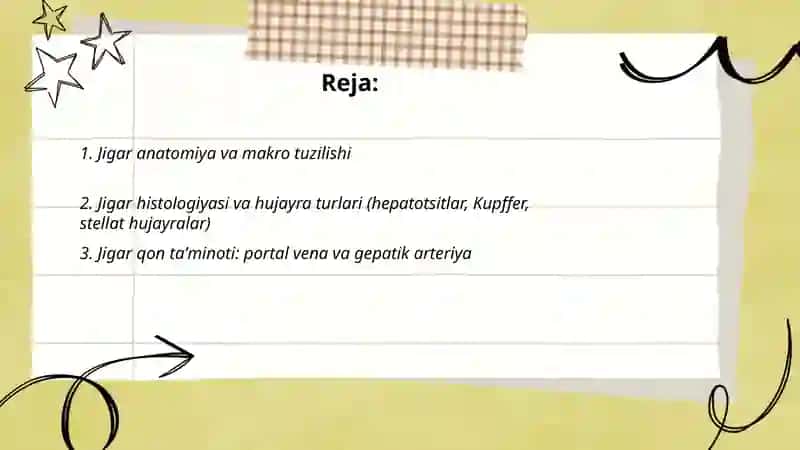 Jigar va uning faoliyati 2