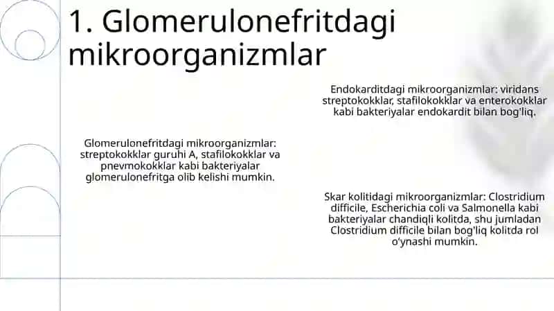 Glomerulonefrit, Endokardit, Yarali Kolitda Mikroorganizmlarning Ahamiyati 2
