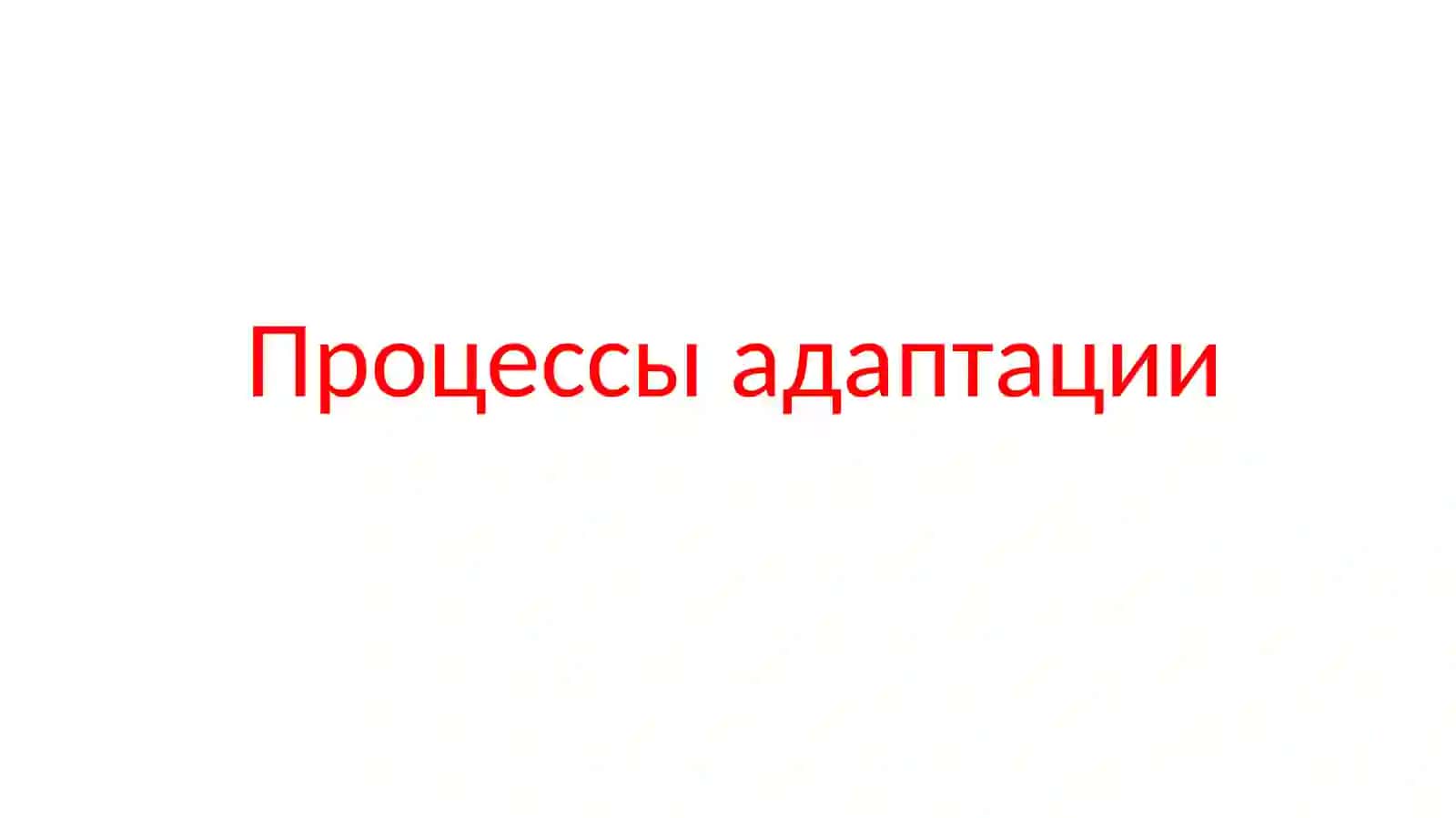 Процессы адаптации 2