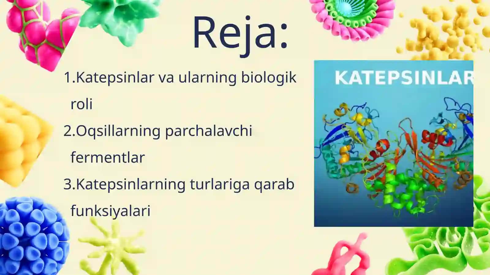 Oqsillarning tòqimalarda katepsinlar ishtirokida parchalanishi biogen aminlarning sintezi
<div><span 2