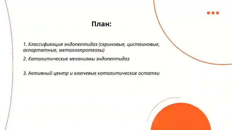 Эндопептидазы 2