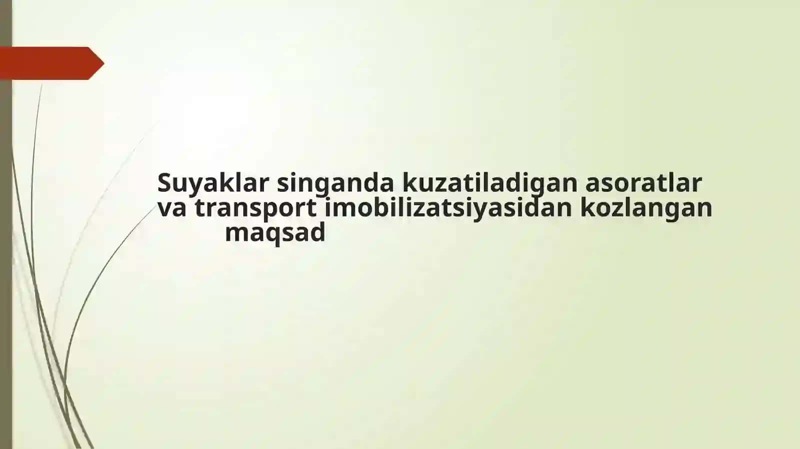 Suyak Sinishi 2