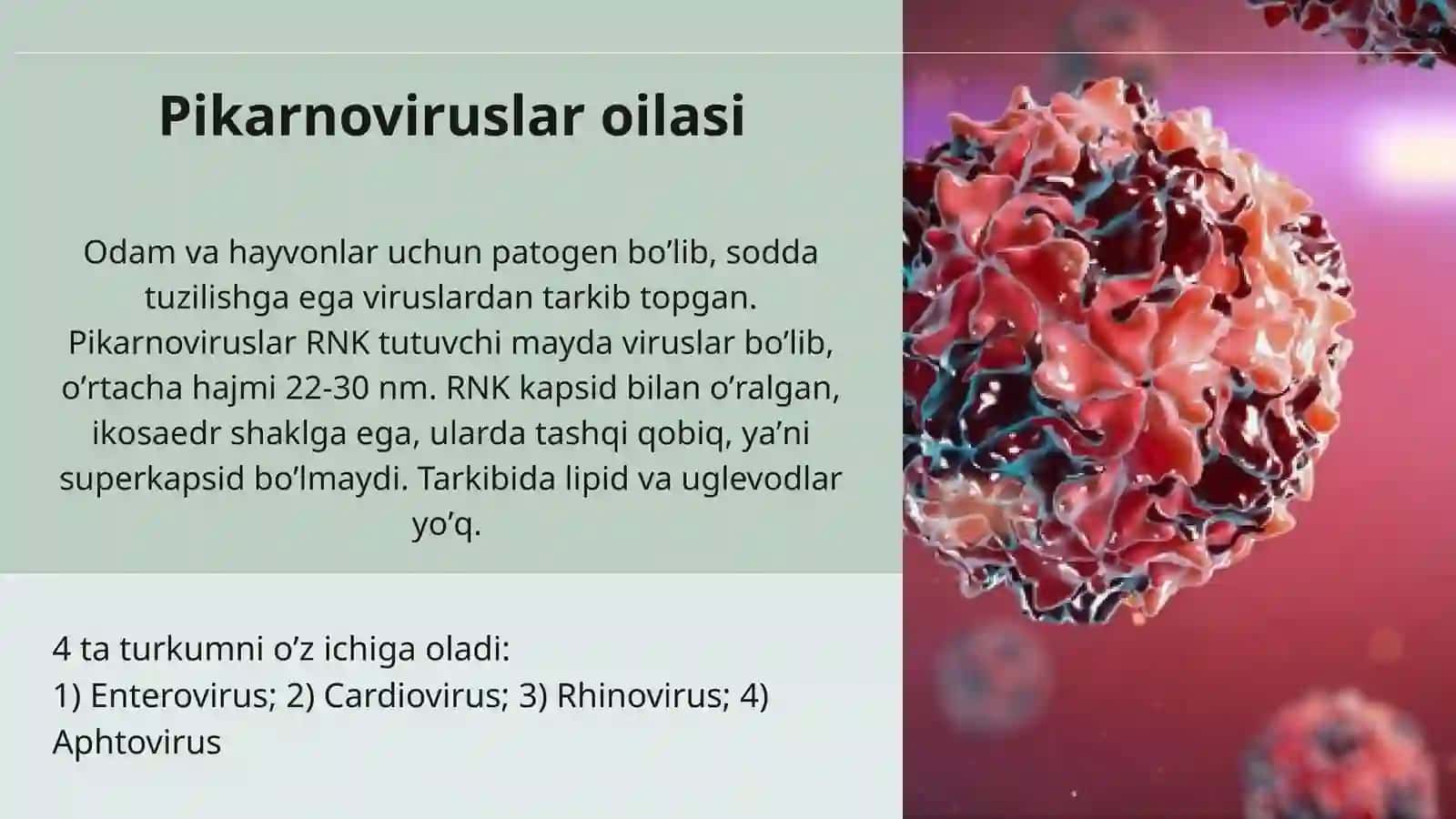 RNK saqlovchi viruslar keltirib chiqaruvchi kasalliklar qo'zg'atuvchilari: Pikornoviruslar va Koronaviruslar 2