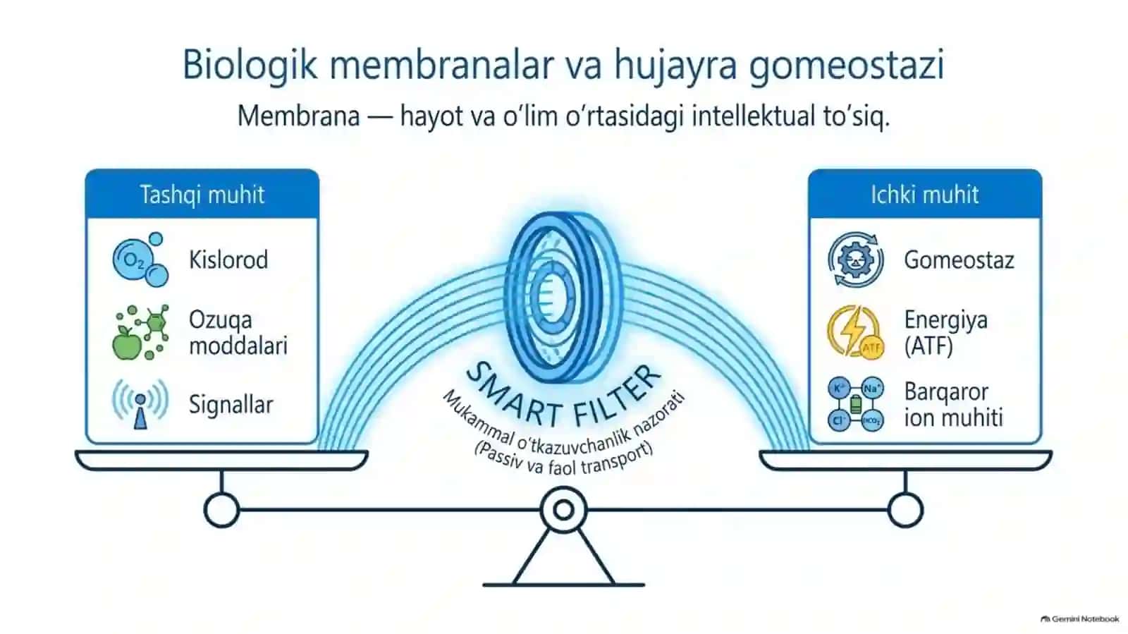 Membranalar buzilishining patologik jarayonlardagi o‘rni — 15 slayd 2