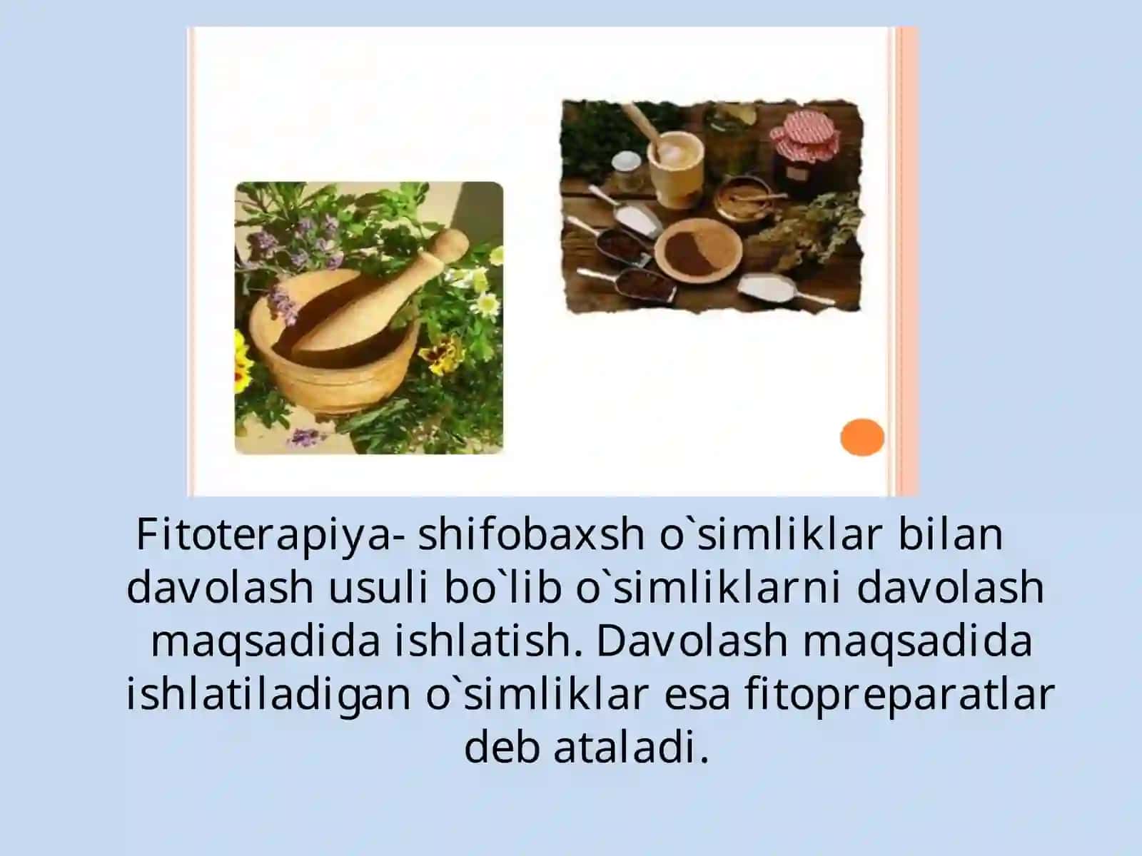 Fitopreparatlar va ularning qo`llanilishi 2