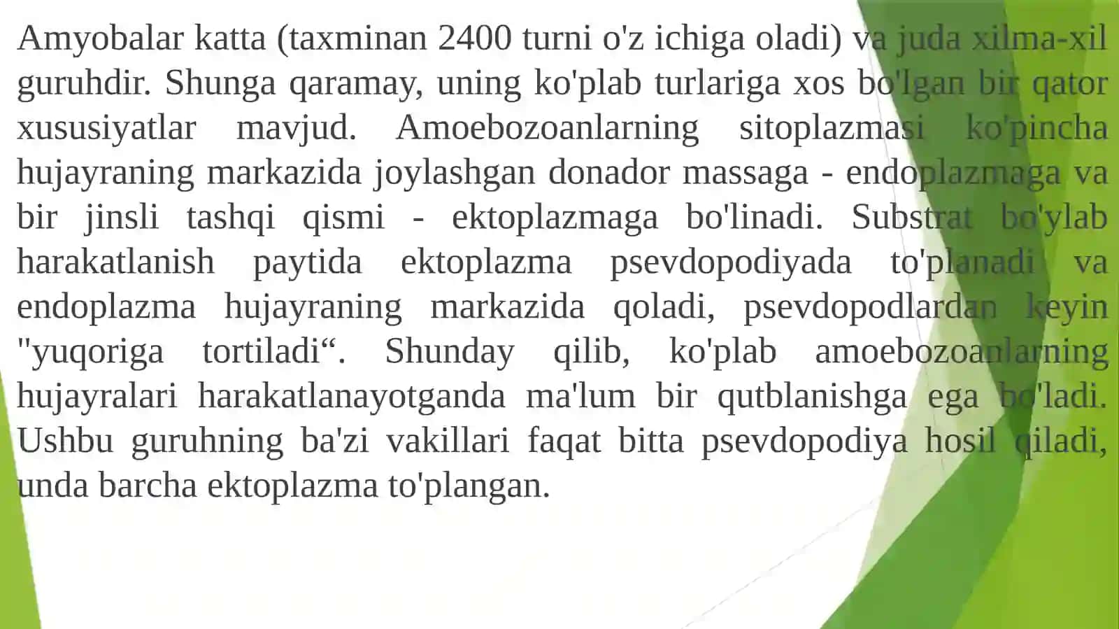 AMYOBASIMON(Amoeboidea) 2