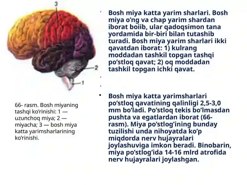 Boshmiya 2