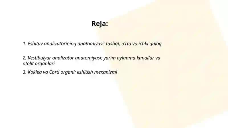 Eshituv va vestibulyar analizatorlar va ichki a'zolarni o'zaro bog'liqligi 2