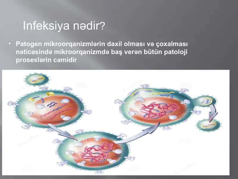 Infeksiya 2
