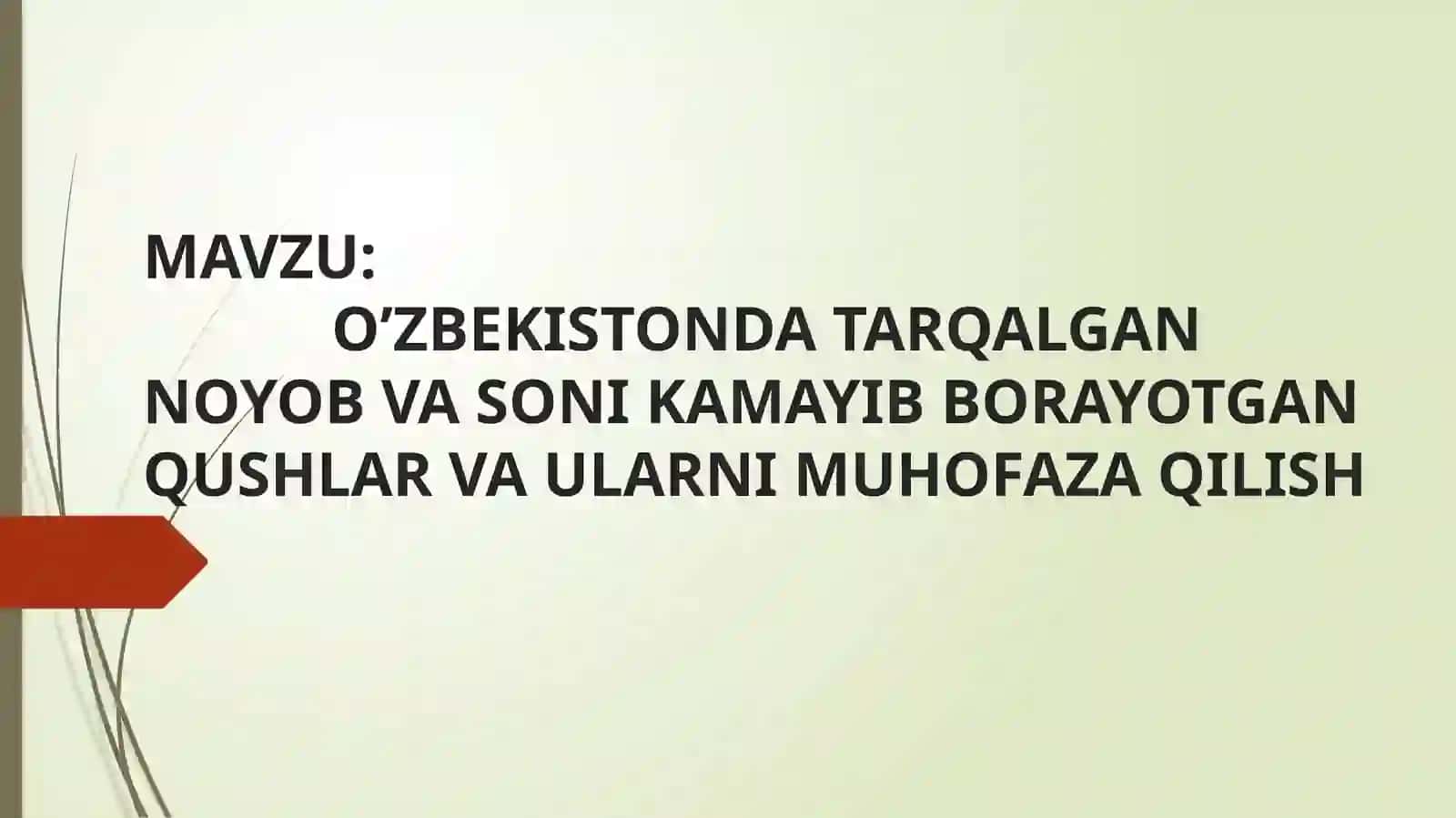 O’ZBEKISTON DATARQALGAN NOYOB VA SONIKAMAYIB BORAYOTGAN QUSHLAR VA ULARNI MUHOFAZA QILISH 2