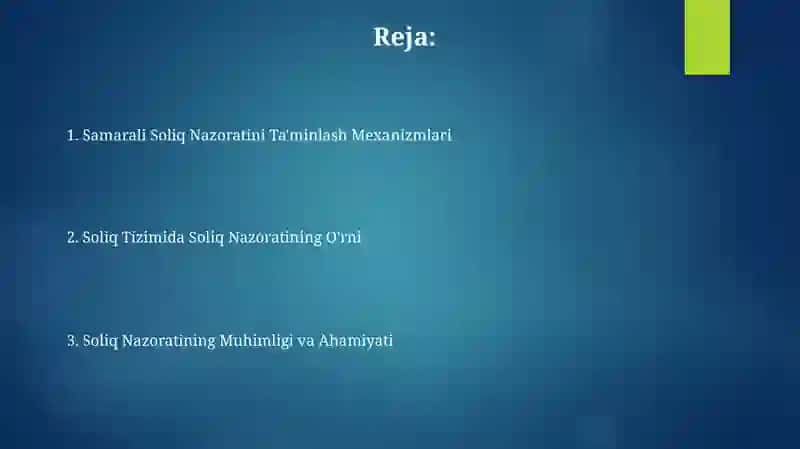 Soliq nazorati sohasidagi muammolar va ularni hal etish yo'llari 2