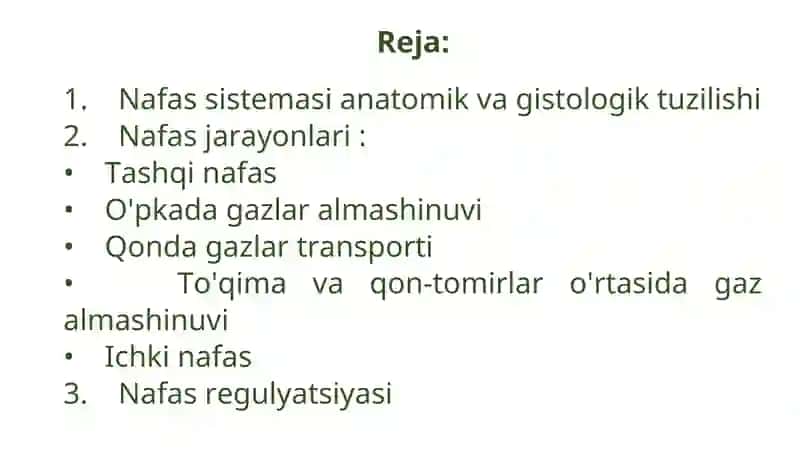 Nafas sistemasi 2