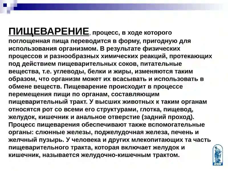 Презентация на тему: Пищеварение 2