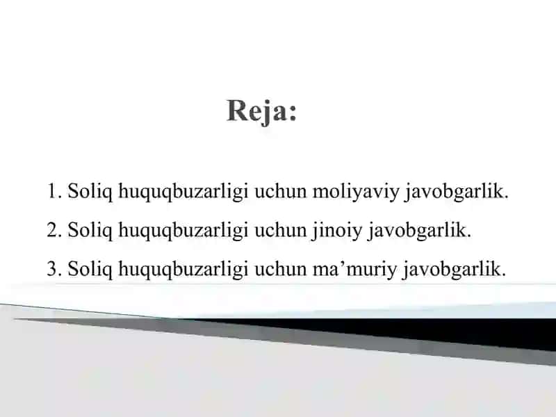 Soliqqa oid huquqbuzarliklar va ularni sodir etganlik uchun javobgarlik 2