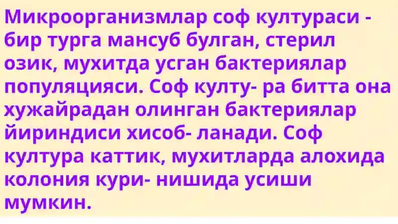 Микроорганизмлар соф култураси 2