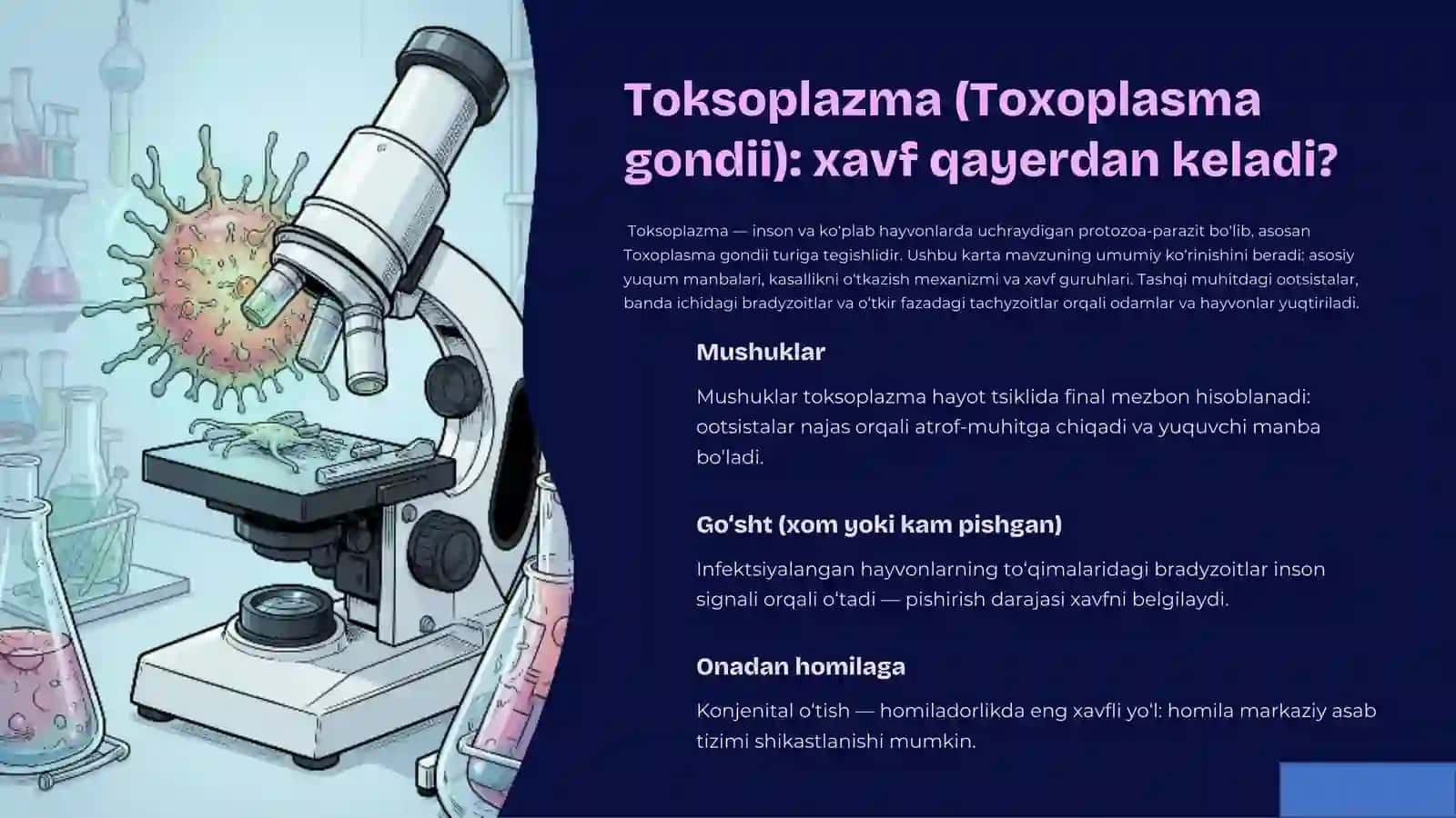 Taksoplazmoz: Yashirin xavf va uning biologiyasi 2