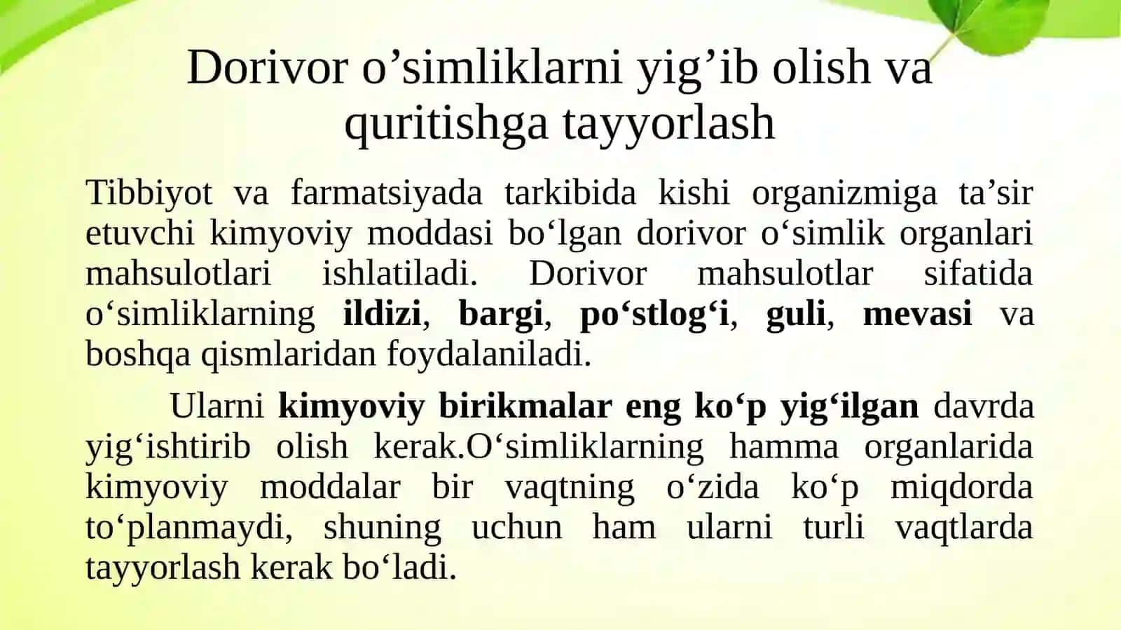Dorivor o’simliklarni tayyorlash, quritish, idishlarga joylashtirish va saqlash 2